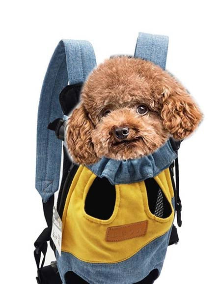 Pet Travel carrier zy dropshipping supplier in france