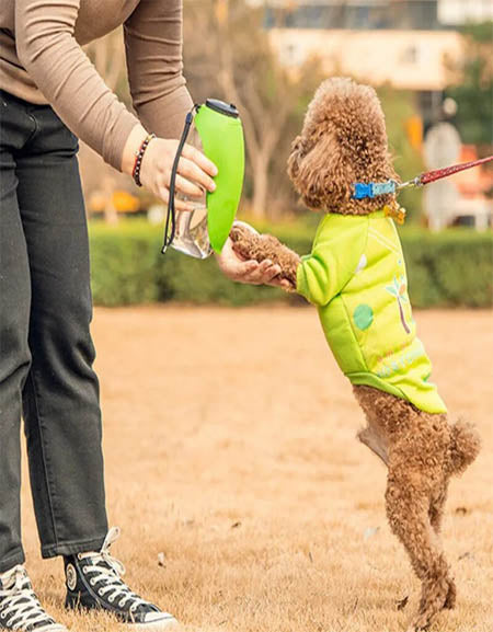 Load image into Gallery viewer, Portable Pet Water Bottle Dispenser Zydropshipping
