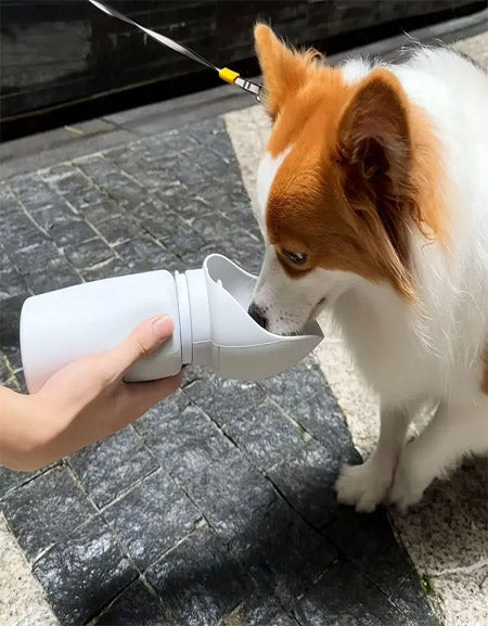 Silicone Dog Water Dispenser With Folding Feeder Zydropshipping