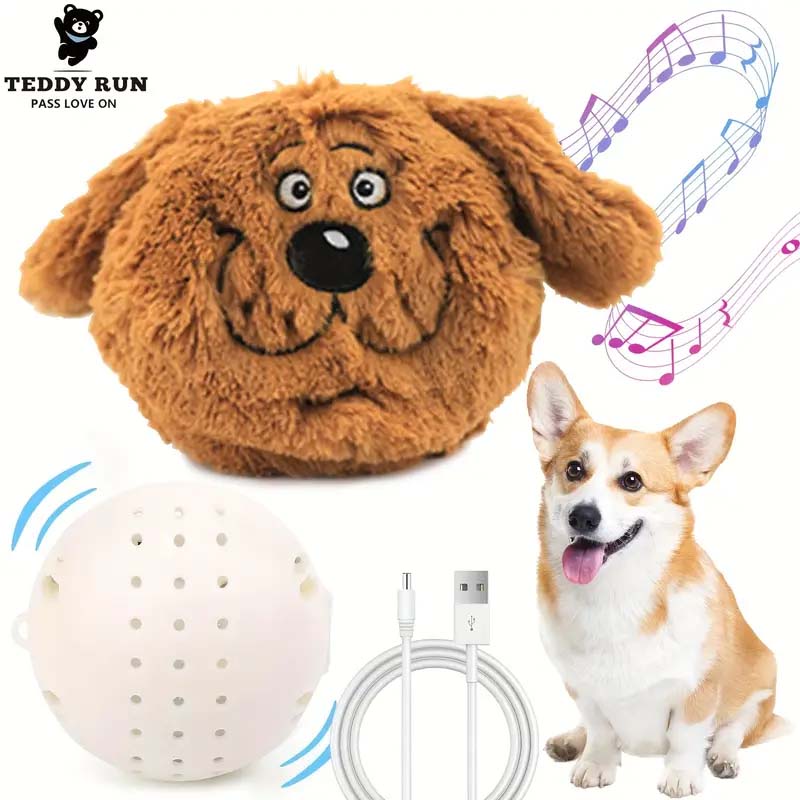 Teddy Run Monster Active Ball - Interactive Dog Toy