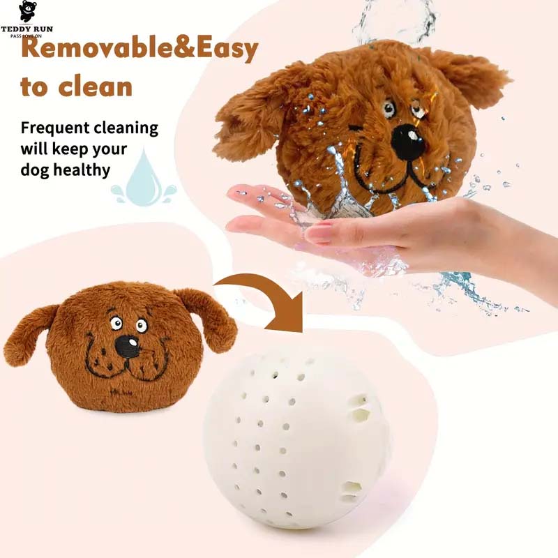 Teddy Run Monster Active Ball - Interactive Dog Toy