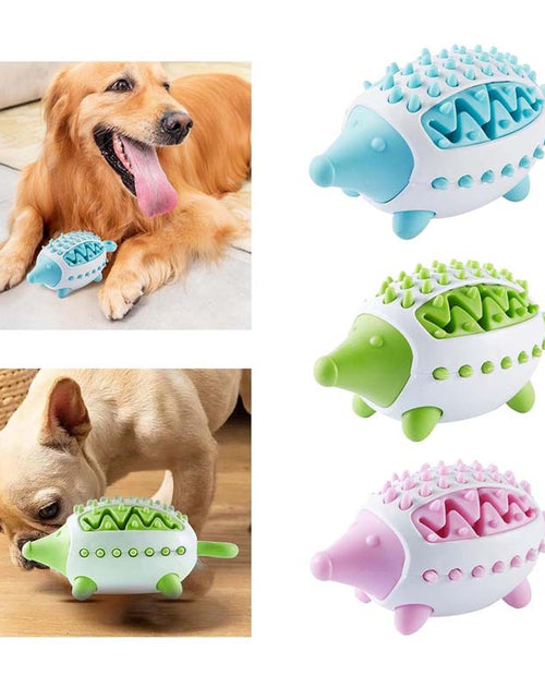 Load image into Gallery viewer, Blue IQ Training Pet Treat Ball - Bite Resistant Rubber Chew Toy
