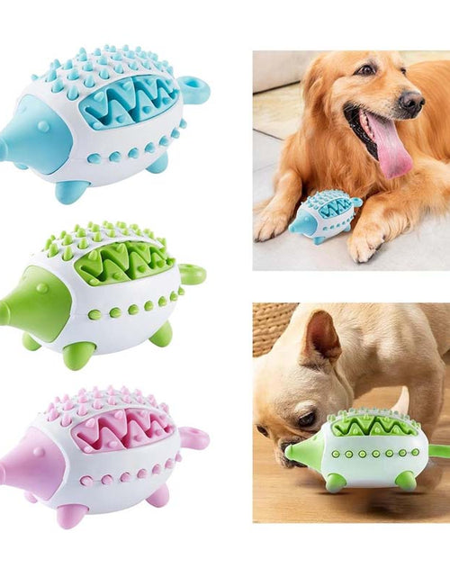 Load image into Gallery viewer, Blue IQ Training Pet Treat Ball - Bite Resistant Rubber Chew Toy
