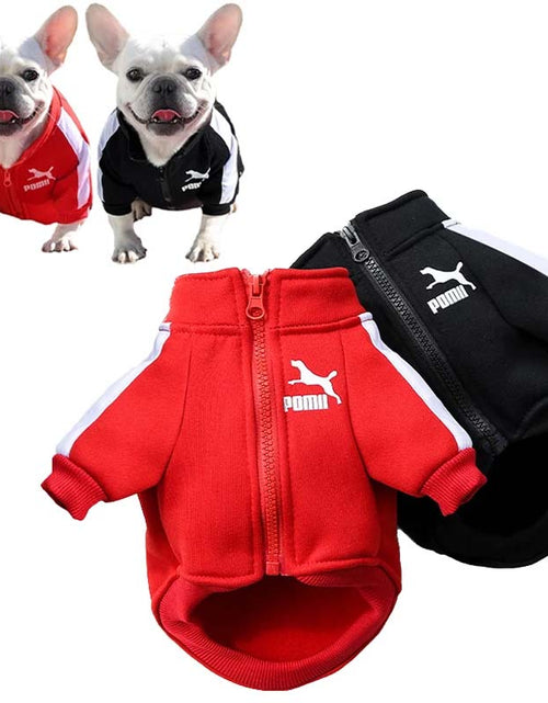 Load image into Gallery viewer, Winter Dog Jacket for Small &amp; Medium Breeds
