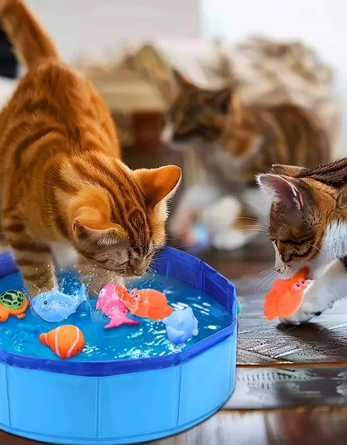 Load image into Gallery viewer, Interactive Cat Water Play Pool with Floating Toys
