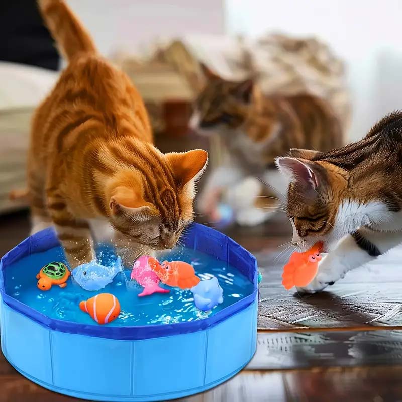 Interactive Cat Water Play Pool with Floating Toys