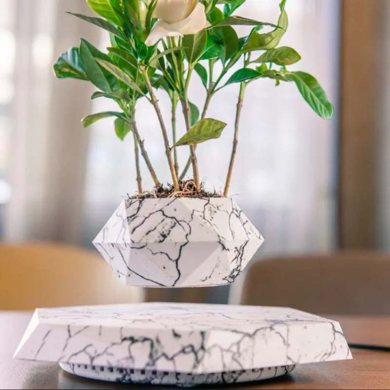 Floating Magnetic Levitating Air Plant Pot – Creative Home & Office Decor