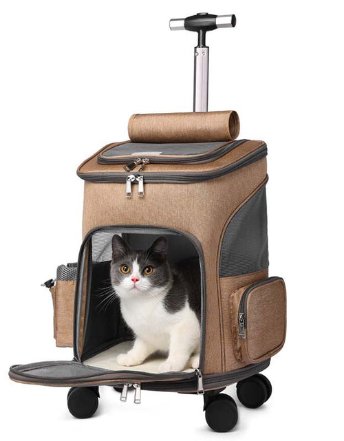 Load image into Gallery viewer, Portable Folding Pet Trolley Backpack – Travel Cat Carrier with Wheels | Comfortable &amp; Convenient Pet Carrier
