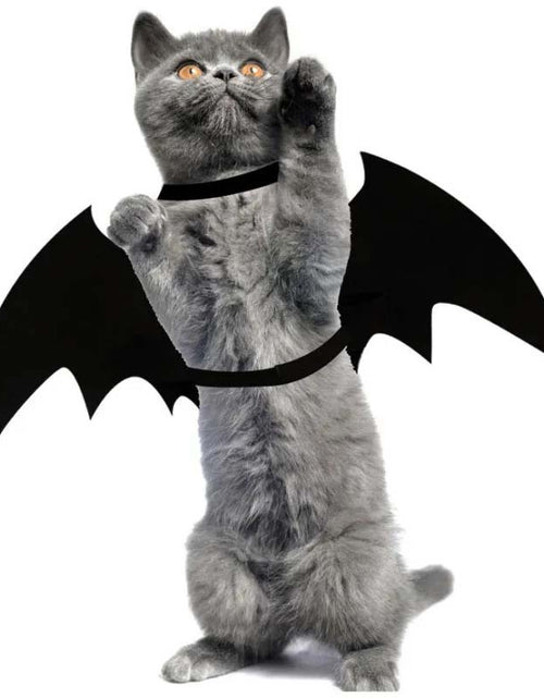 Load image into Gallery viewer, 🎃 Halloween Bat Wing Pet Costume - Spooky Fun for Cats &amp; Dogs
