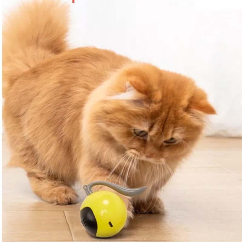 Automatic Smart Fitness Training Pet Cat AI Toy - Luminous LED Magic Ball