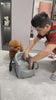 2024 pet easy carry bag pet supplies