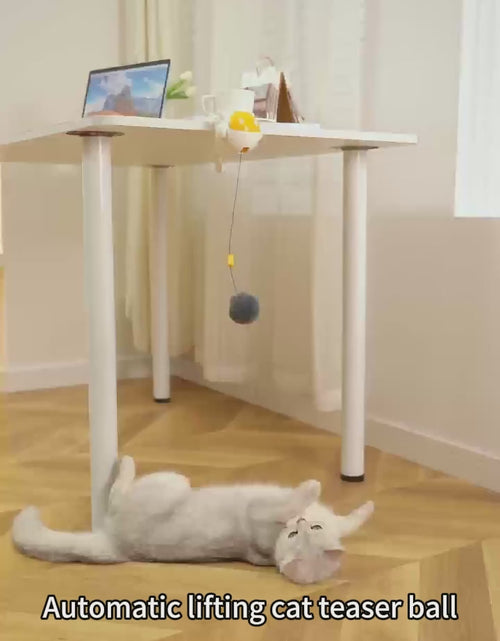 Load and play video in Gallery viewer, Interactive Cat Teaser Toy with Hands-Free Rising Ball.
