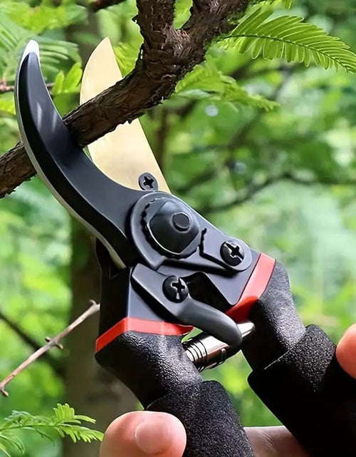 Load image into Gallery viewer, Titanium Pruning Shears - Ultra-Sharp, Heavy-Duty Scissors
