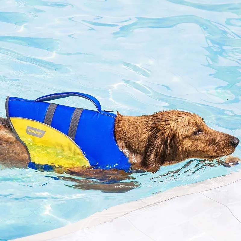 Dog Life Jacket – Small, Medium & Large Pet Swim Vest