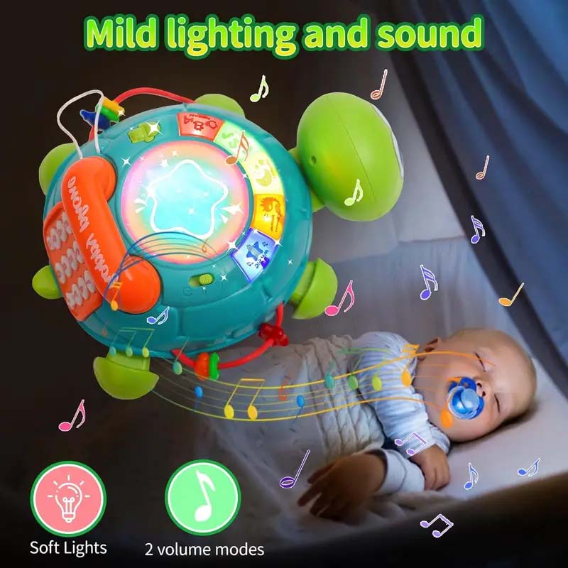 Musical Turtle Crawling Toy - Light & Sound