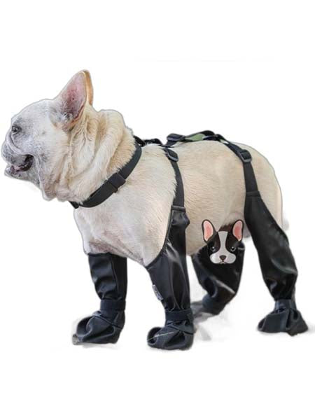 Load image into Gallery viewer, Paw-fect Protection: Best Dropship Products for Waterproof Dog Shoes &amp; Boots
